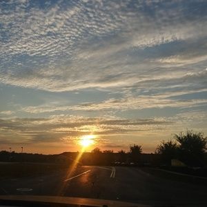 Meet your Posher, Carly